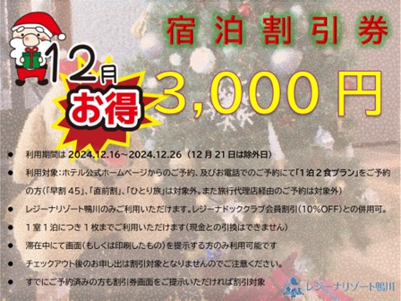 2024年12月割引券